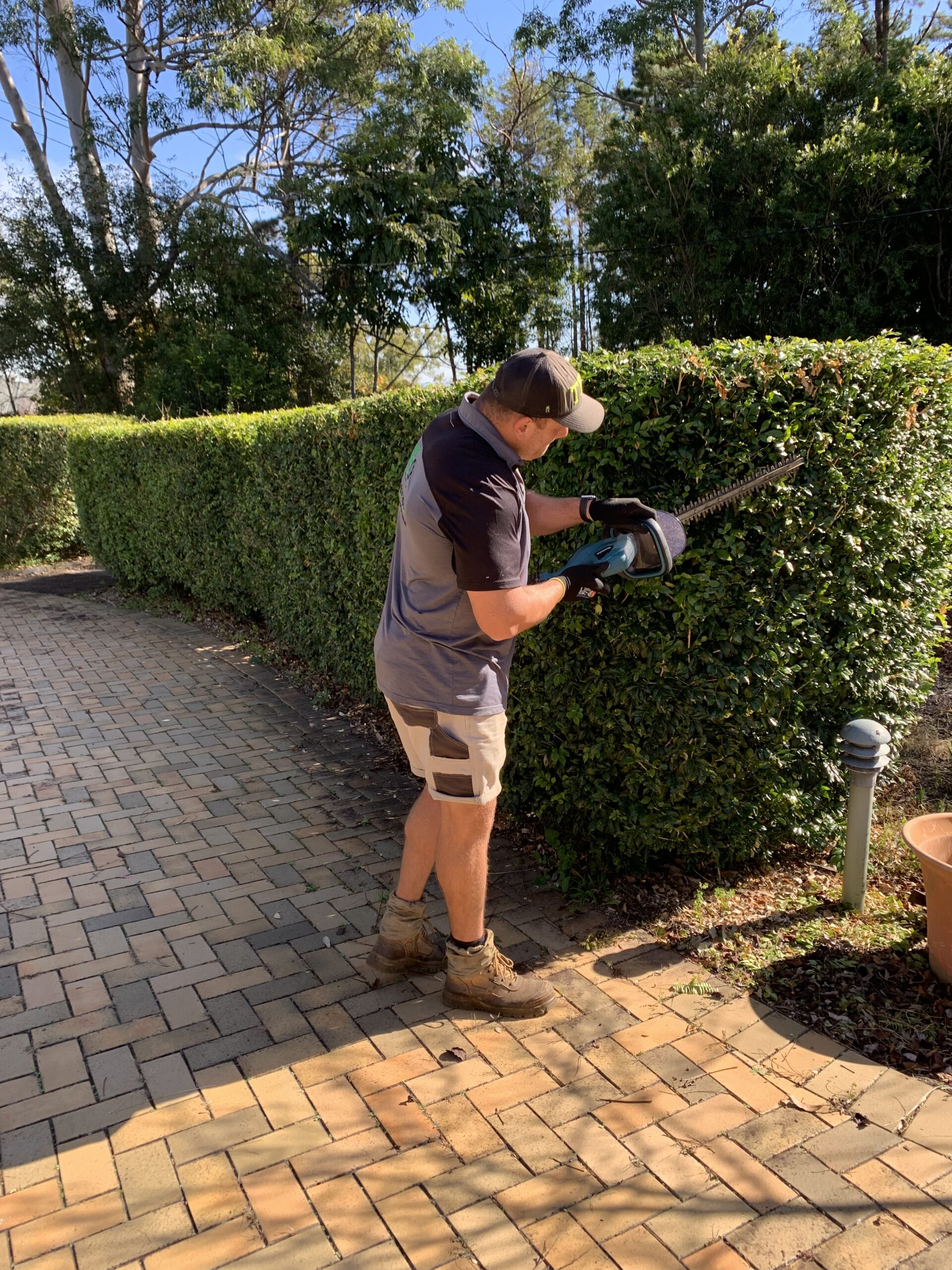 Garden & Lawn Maintenance BD Landscapes